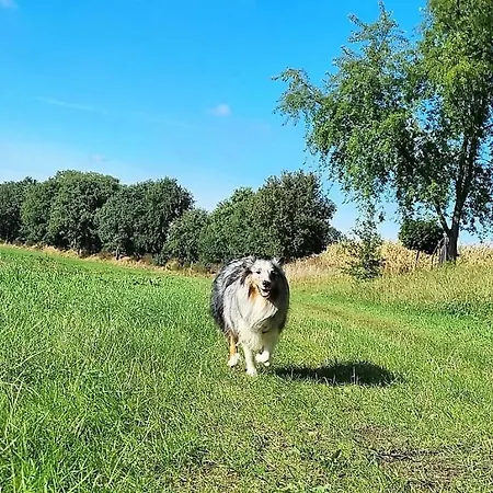 公寓 Vinkennest Am - Sonnenweg 44 - Kinderfreundliche Mit Sauna, Terrasse, Garten Und Seeblick!