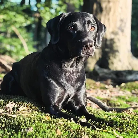 Vinkennest Am - Sonnenweg 44 - Kinderfreundliche Mit Sauna, Terrasse, Garten Und Seeblick! *
